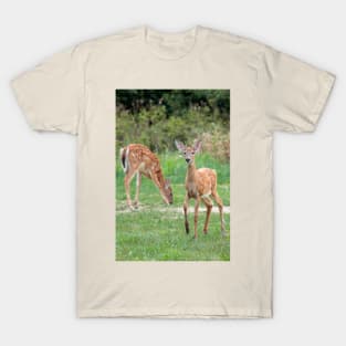 Curious Doe T-Shirt